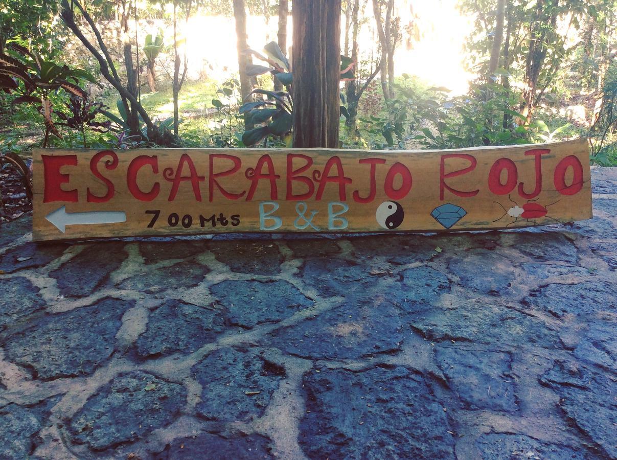 Bed and Breakfast Escarabajo Rojo Тулум Екстер'єр фото